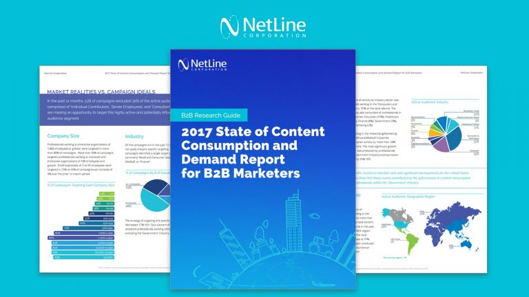 Netline Content Consumption Report