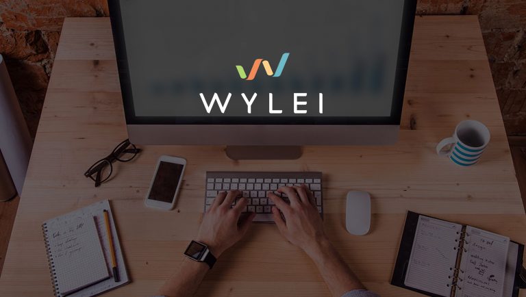 Wylei Appoints J&J Veteran Denice Torres to Board of Directors